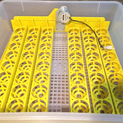 48 Egg Automatic Incubator - LOCAL STOCK