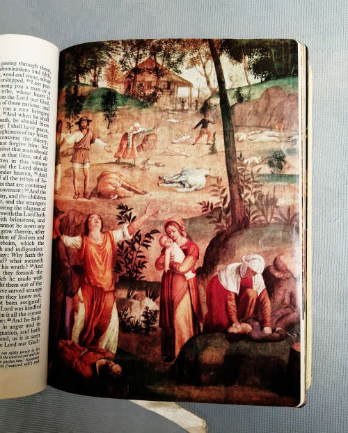 Holy Bible Roman Catholic