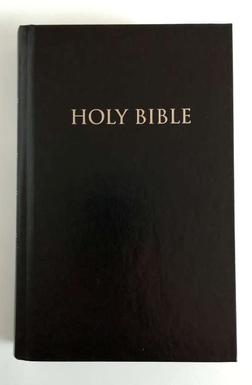 New Revised Standard Bible  NRSV