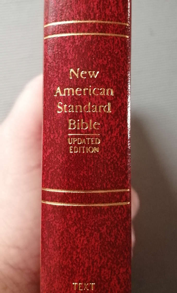 New American Standard Bible