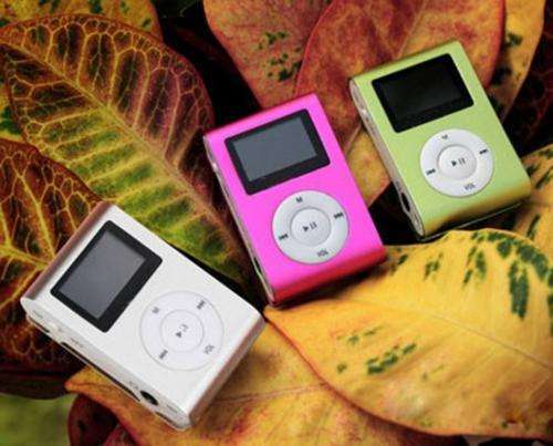 CRAZY R1 Star - 2GB LCD Screen MP3 Player FM Radio Metal Mini Clip - Not Apple ipod