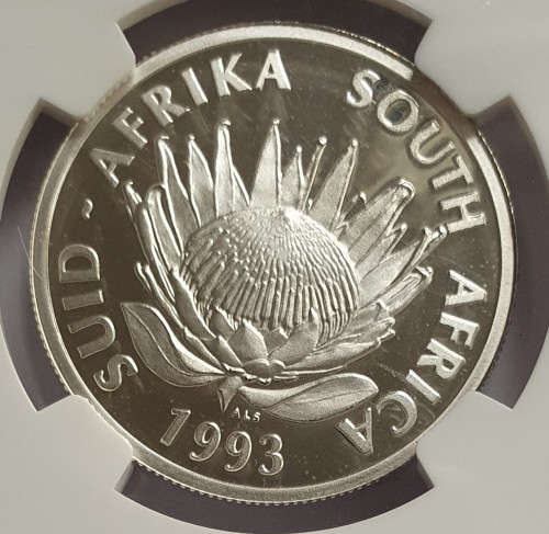 1993 Silver R1 PF69 Ultra Cameo - Banking