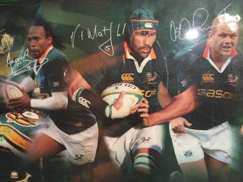 SPRINGBOKS PHOTO