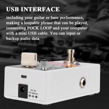 Amoon USB true bypass loop module - multispeed (24h-48h SA delivery )