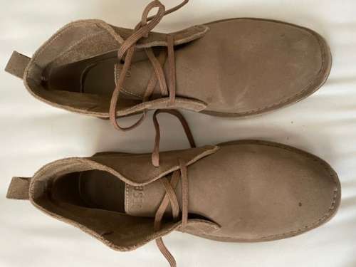 Desert Hunter Vellie donkey UK9