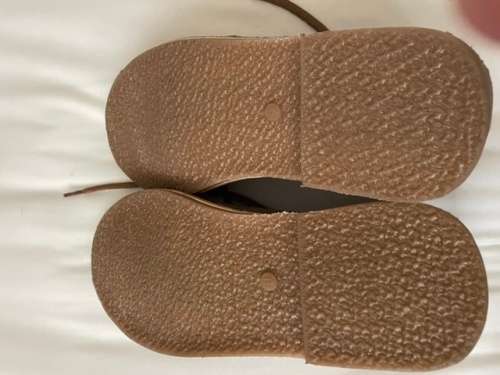 Desert Hunter Vellie donkey UK9