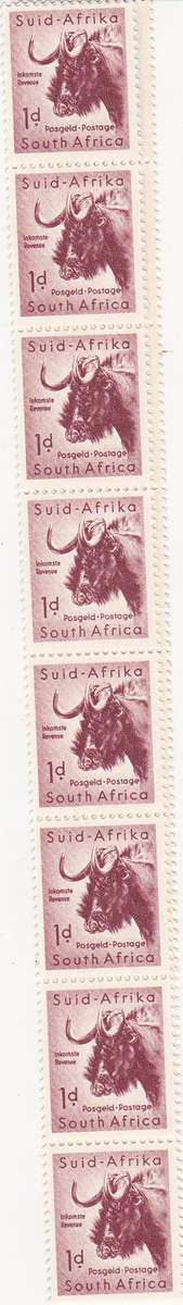 "CONTROLS" 1954 1d  proving strip of 22 coil stamps in MNH (18 x 22mm) VERY RARE!!! SACC151a CV R495