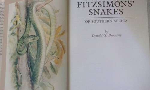 Sneaks of southern africa - fitzsimons  Donald G Broadley