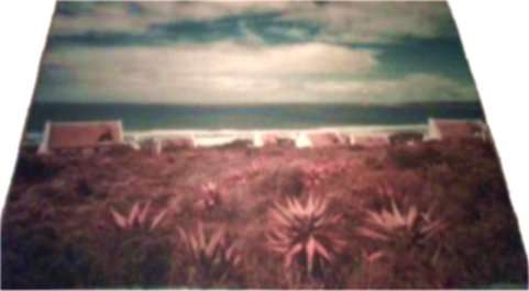 309 Seized Artwork: "Ocean View, Cape Houses, Aloes" by anonymous aspiring artist