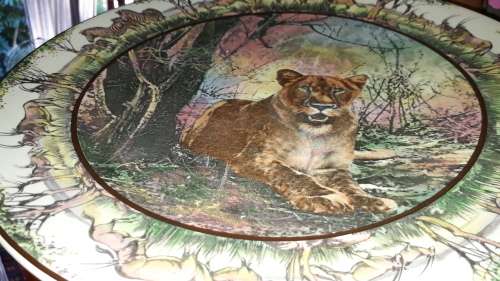 Stunning Royal Doulton African Series plate