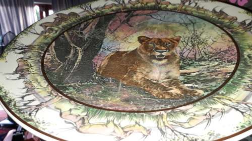 Stunning Royal Doulton African Series plate