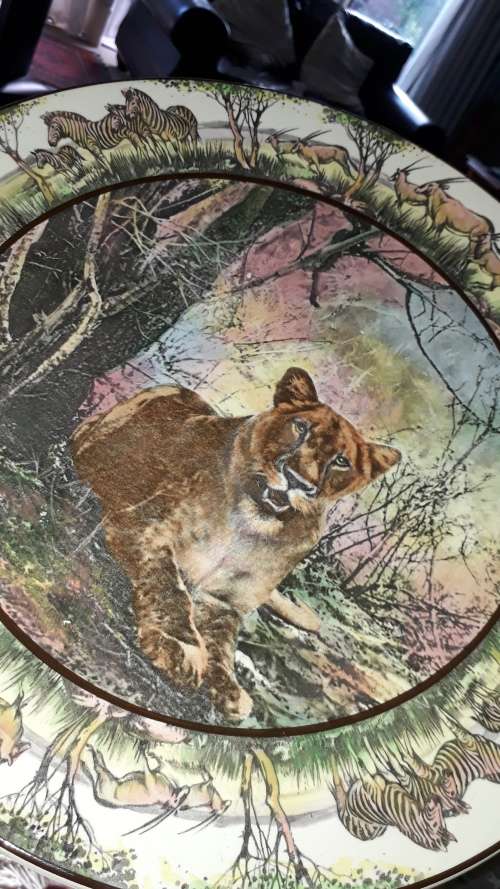 Stunning Royal Doulton African Series plate