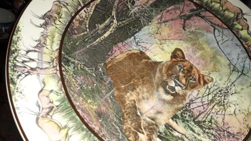 Stunning Royal Doulton African Series plate