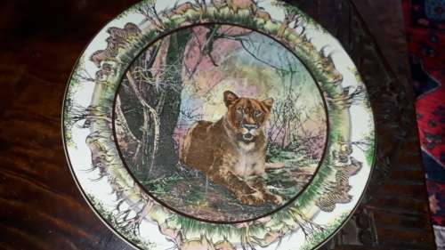 Stunning Royal Doulton African Series plate