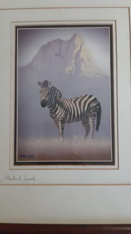 Zebra with mountain backdrop by Malachi Smith