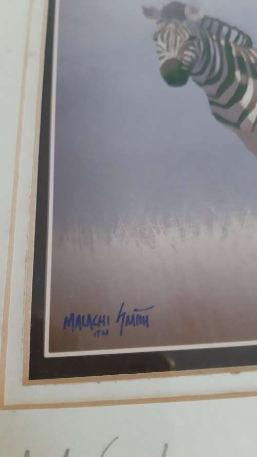 Zebra with mountain backdrop by Malachi Smith