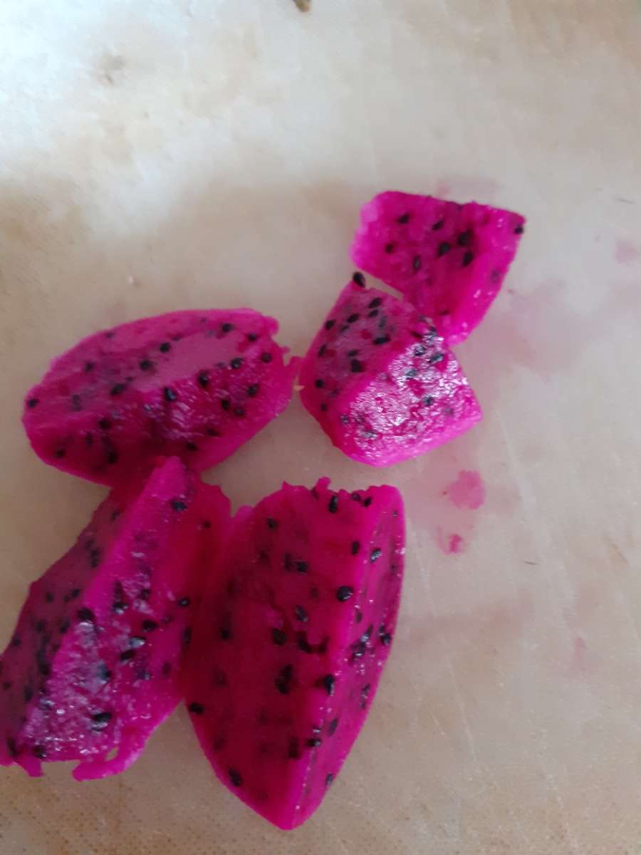 Ruby Red Dragon Fruit Cuttings
