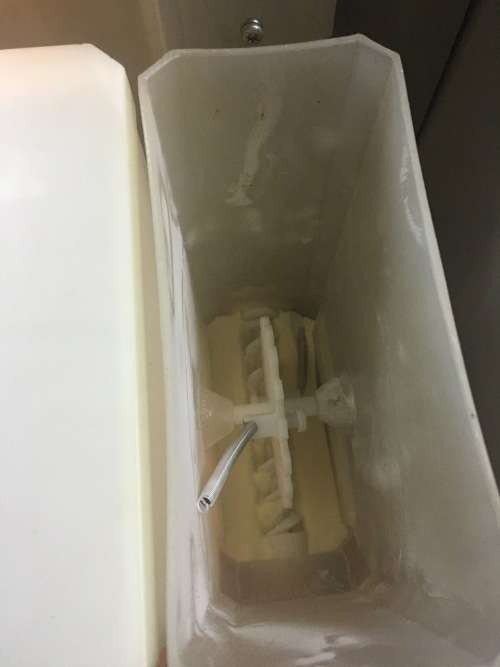 Coffee Queen (Eminence) automatic coffee machine