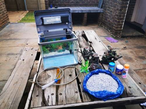 Fish Tank & Accessories