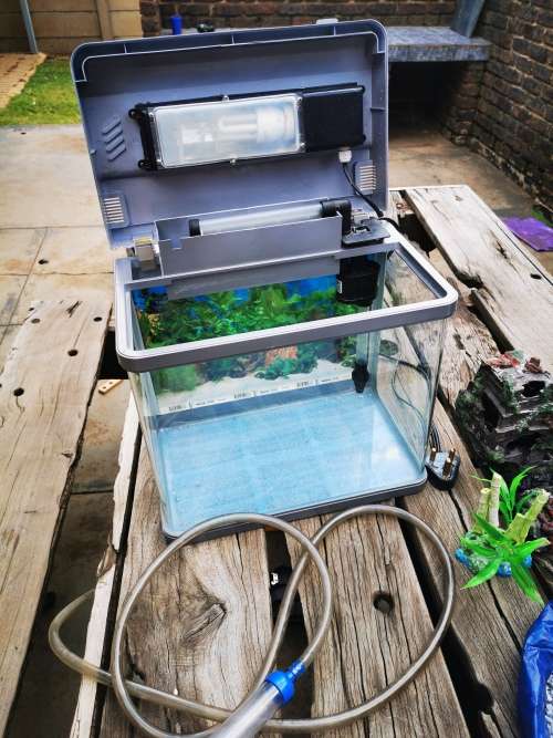 Fish Tank & Accessories