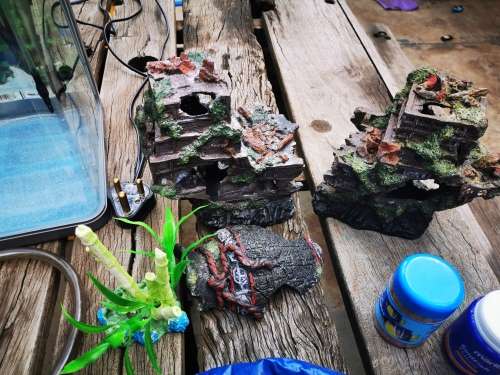 Fish Tank & Accessories