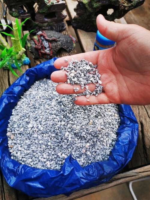 Fish Tank & Accessories