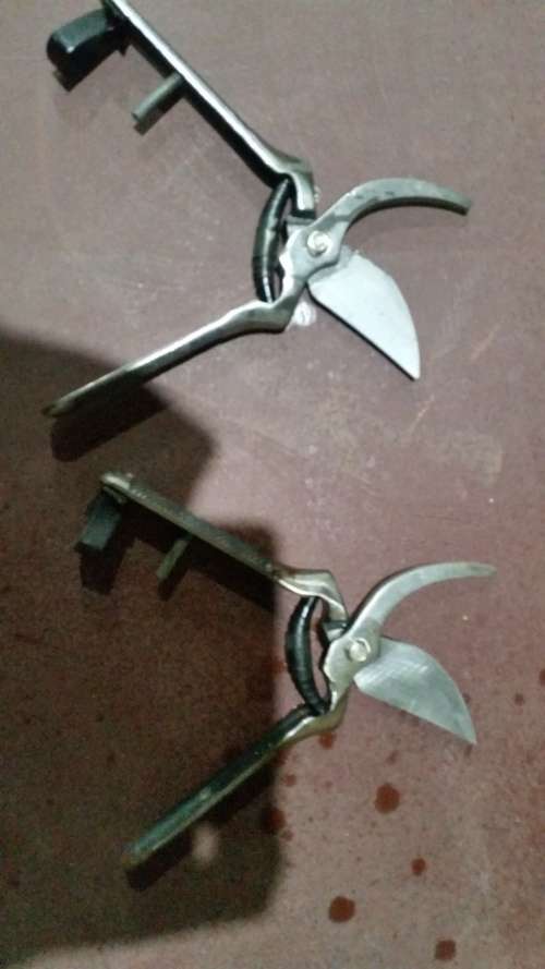 Garden scissors/ cutter