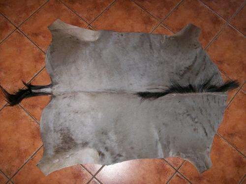 Tanned Wildebeest Hide-Top Quality.