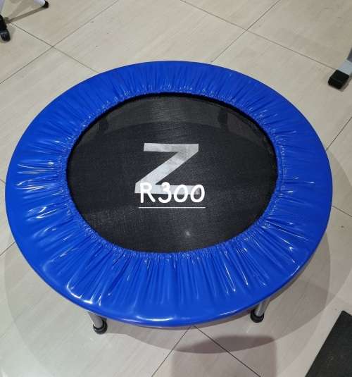 Mini trampoline rebounder