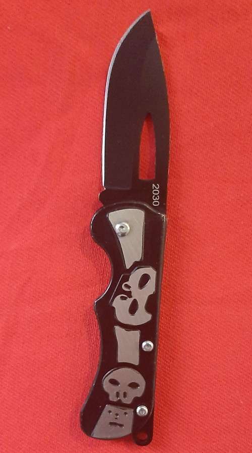 Pocket knife high quality Stainless steel skull design