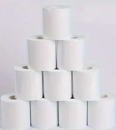 10 Rolls 2ply Toilet paper