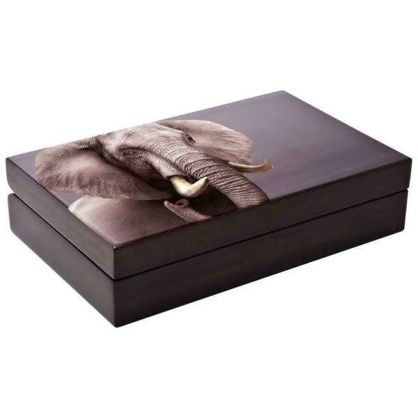 BIG 5 Fine-Silver Double Proof Coin Set 2021 - Elephant