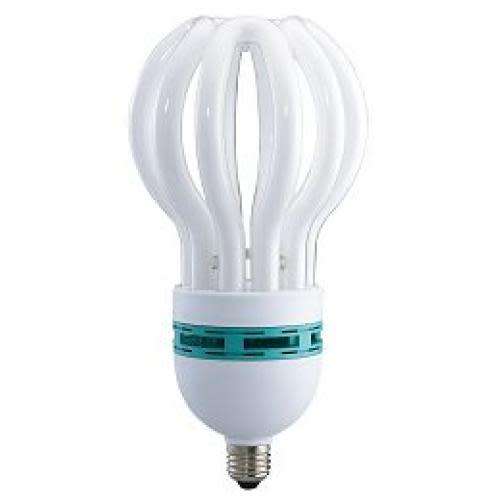 E27 125W Lotus Bulb