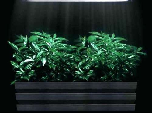 100W LED Low Bay - Plant Growth Light