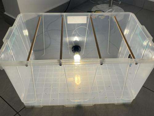 Biltong Box / Biltong Dryer / Biltong Maker to make droewors biltong chillibites