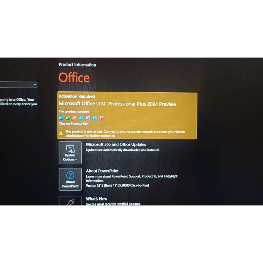 Microsoft Office 2024 Professional Plus 2312 Build 17103.20000 Preview LTSC Office application 2024
