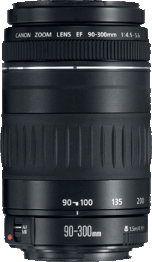 Canon 90-300