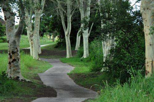 Kruger Park Lodge 28 July to 4 August 2023