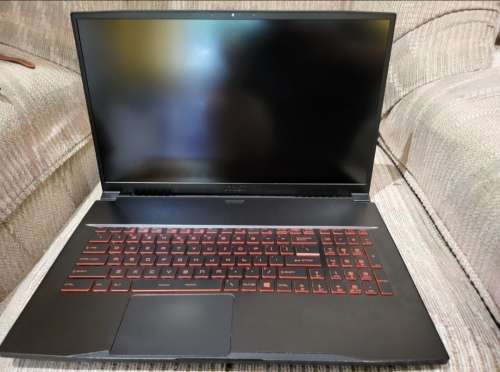 Late Entry!!! Monster Spec MSI Gaming Laptop i7 8th, 24gig Ram, 1Terrabite SSD and 256gig SSD.