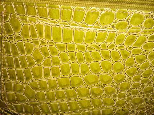 Ladies Green Leather Handbag