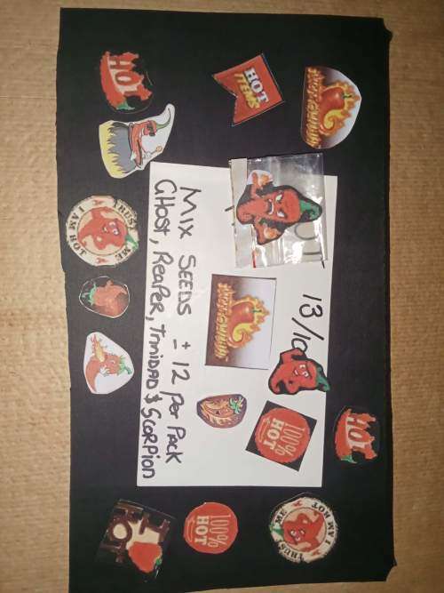 Grow your own Worlds 4 Hottest Chillies in a Bottle (Seeds)