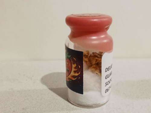 Grow your own Worlds 4 Hottest Chillies in a Bottle (Seeds)