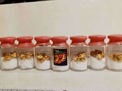 Grow your own Worlds 4 Hottest Chillies in a Bottle (Seeds)