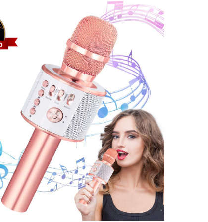 New *2019* Wireless Microphone {Everlotus Wireless Karaoke Microphone Gold}