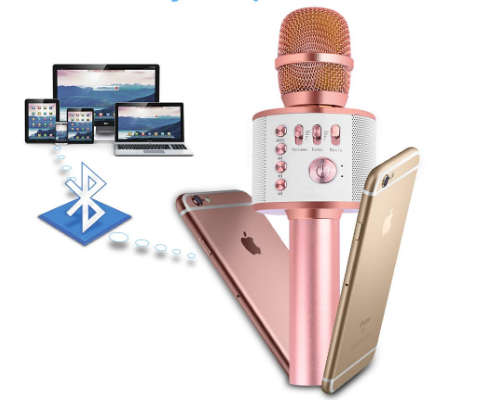 New *2019* Wireless Microphone {Everlotus Wireless Karaoke Microphone Gold}