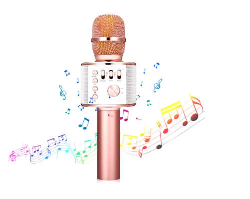 New *2019* Wireless Microphone {Everlotus Wireless Karaoke Microphone Gold}