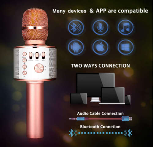 New *2019* Wireless Microphone {Everlotus Wireless Karaoke Microphone Gold}