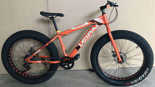 20` snow tire bicycle