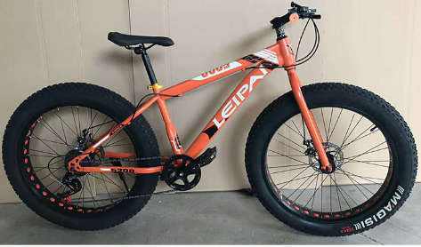 20` snow tire bicycle