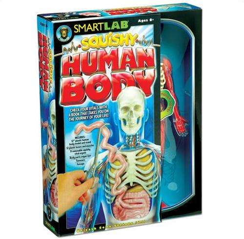 Smart Lab Toys Squishy Human Body